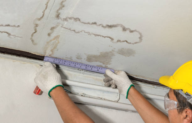 Reliable Burst Pipe Cleanup contractor in Shannon, MS by Water Damage Irwin